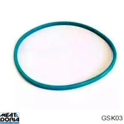 Compre 314562 Triclo Vedante de sensor do nível de combustível/da bomba de combustível (tanque de combustível)