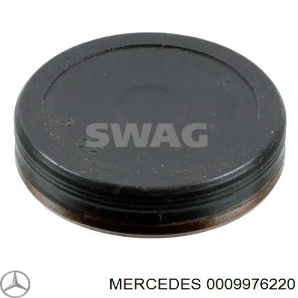 0009976220 Mercedes Tampão CBC/do bloco de cilindros
