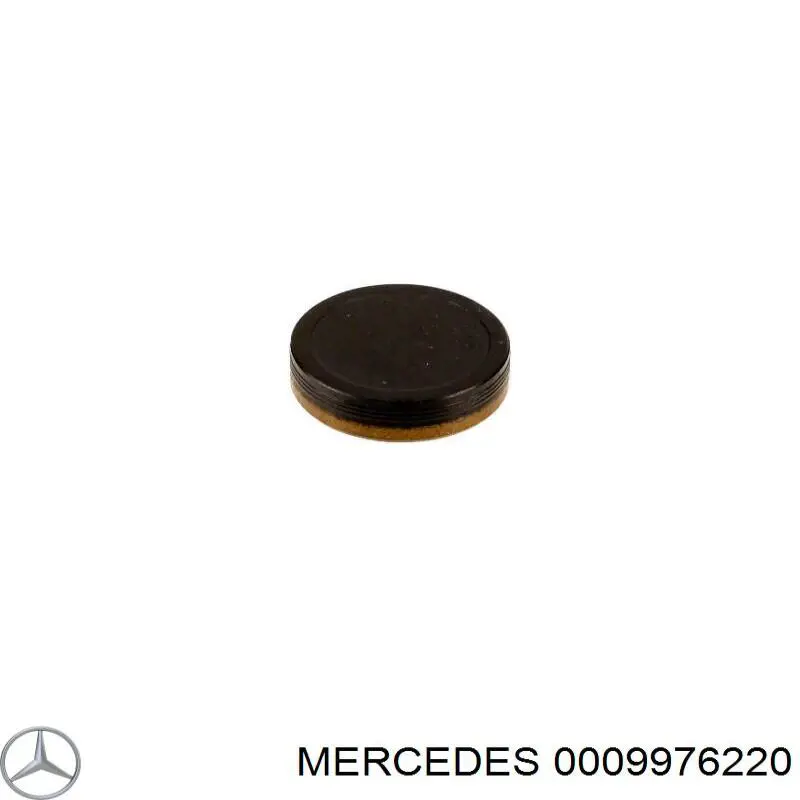 Tampão CBC/do bloco de cilindros Mercedes 0009976220 preço, a partir de 6,30 USD