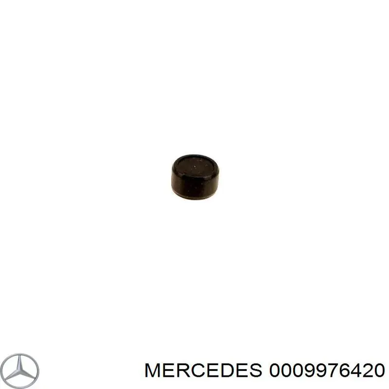 0009976420 Mercedes Cavilha de amortecedor de cadeia do mecanismo de distribuição de gás