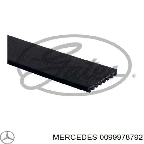 Correia dos conjuntos de transmissão Mercedes 0099978792 preço, a partir de 27,31 USD
