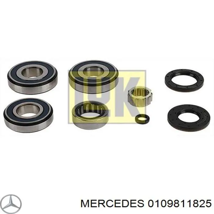 A0089810425 Mercedes Rolamento da árvore intermédia da Caixa de Mudança