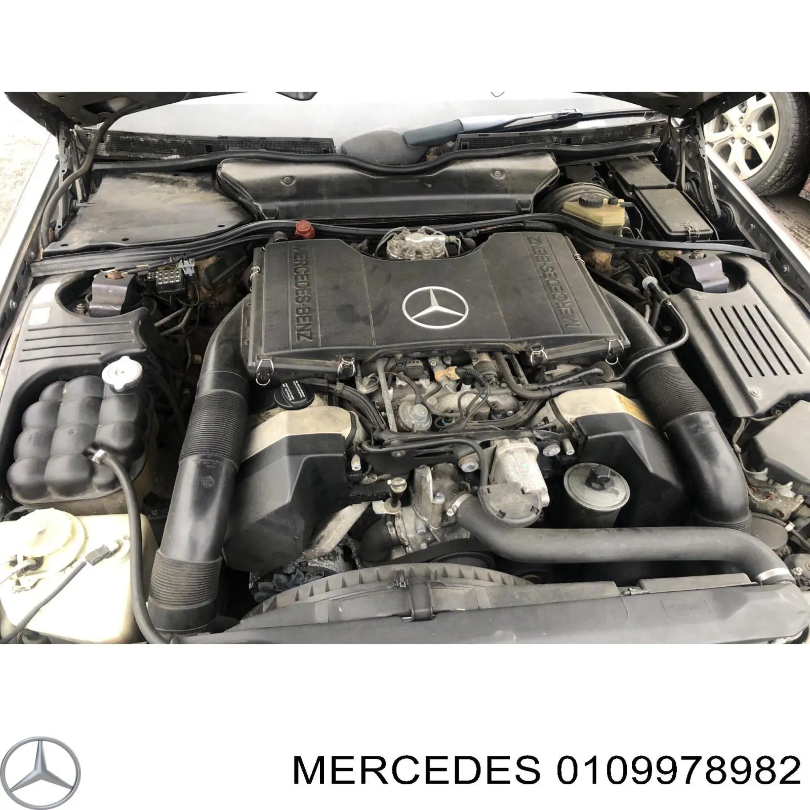 Compre 0109978982 Mercedes Mangueira de fluido para lavador, universal