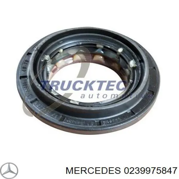 Compre 0239975847 Mercedes Bucim da haste de redutor do eixo traseiro