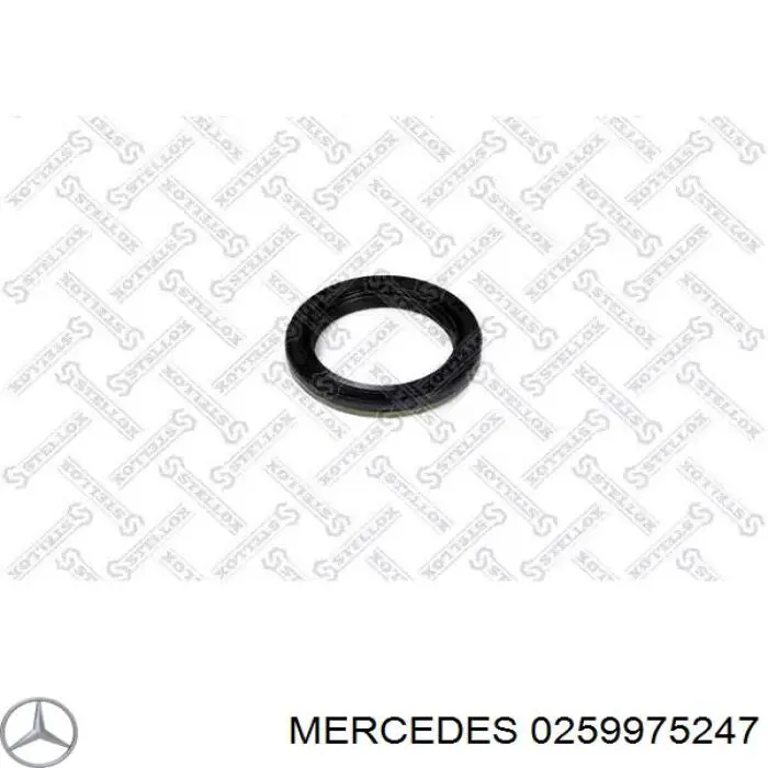 A0259975247 Mercedes Vedação da Caixa Automática de Mudança (de árvore de saída/primária)