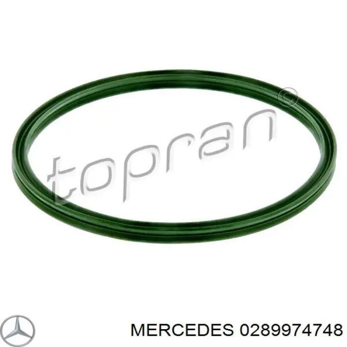 0289974748 Mercedes Anel de vedação (vedante) de cano derivado de intercooler