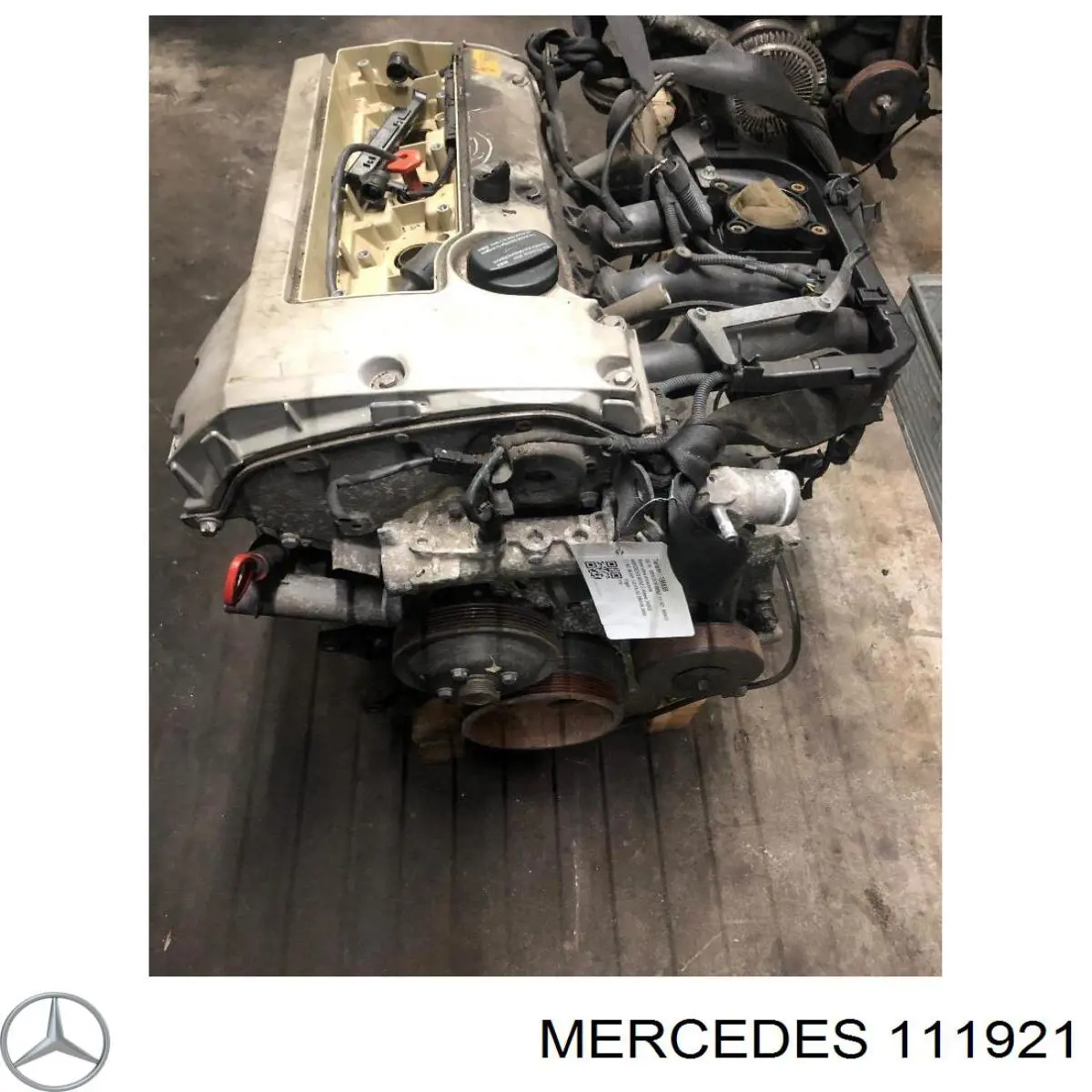 M111921 Mercedes Motor montado