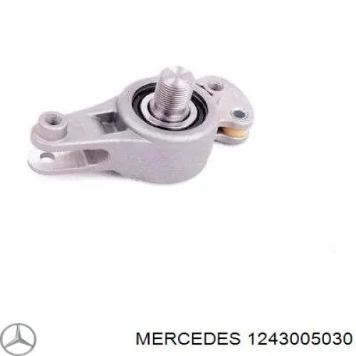 A1243005030 Mercedes Cabo/pedal de gás (de acelerador)
