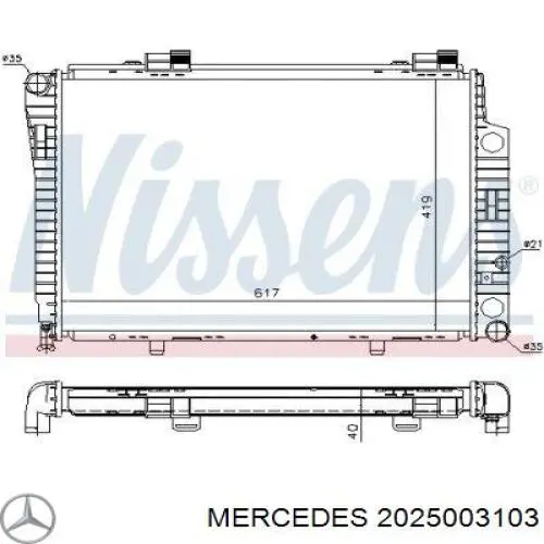 Radiador de esfriamento de motor 2025003103 Mercedes