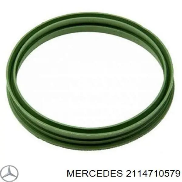 703998800 Victor Reinz Vedante de sensor do nível de combustível/da bomba de combustível (tanque de combustível)