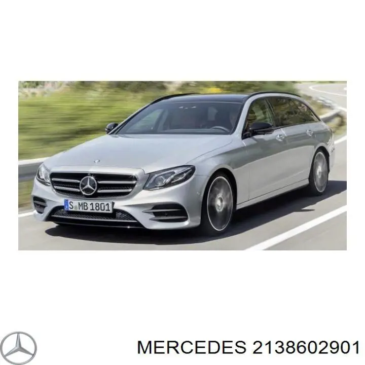 2138602901 Mercedes Malha da seção de bagagem