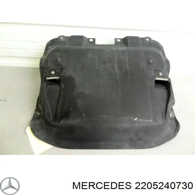 2205240730 Mercedes Proteção de motor, de panela (da seção de motor)