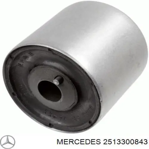 Bloco silencioso dianteiro do braço oscilante inferior Mercedes 2513300843 preço, a partir de 63,58 USD