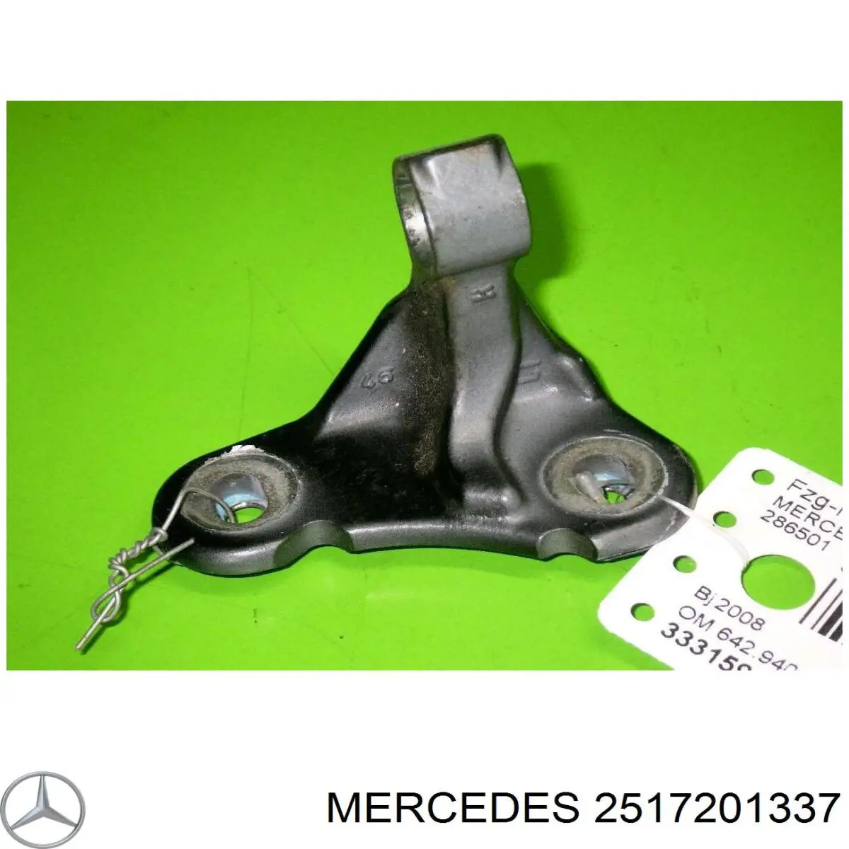 2517201337 Mercedes Gozno da porta dianteira esquerda