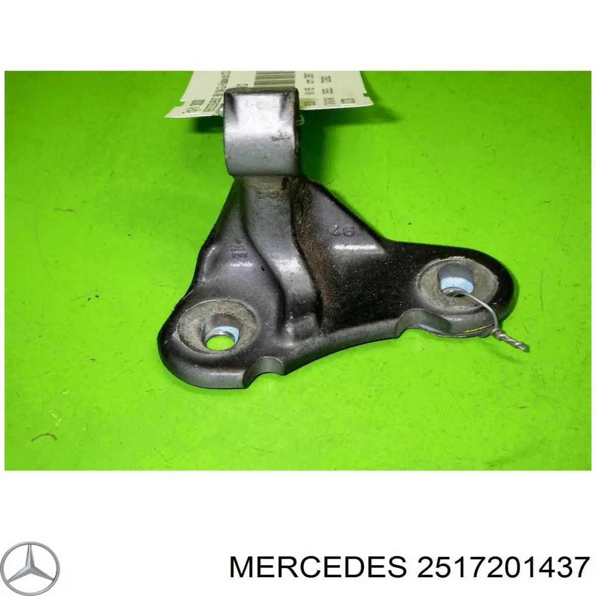 2517201437 Mercedes Gozno da porta dianteira direita