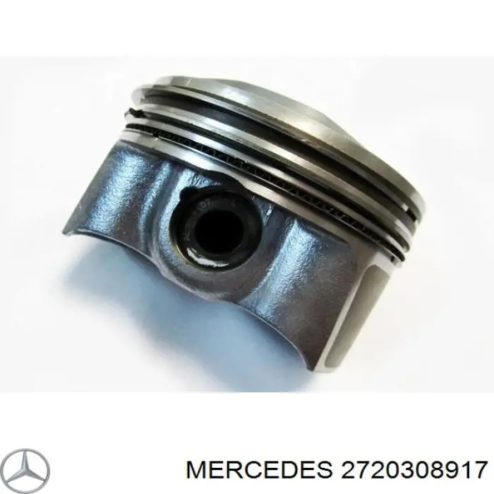 Compre 130010002100 NE/NPR Pistão do kit para 1 cilindro, STD