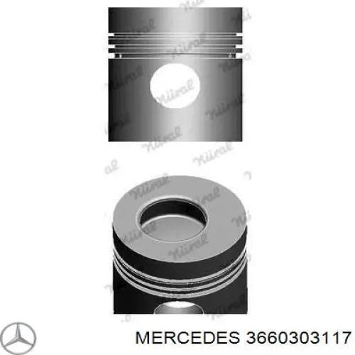 Compre 3660303117 Mercedes Pistão do kit para 1 cilindro, STD