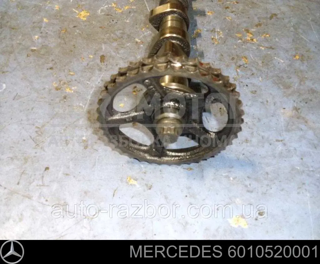 6010520001 Mercedes Engrenagem de cadeia da roda dentada da árvore distribuidora de motor