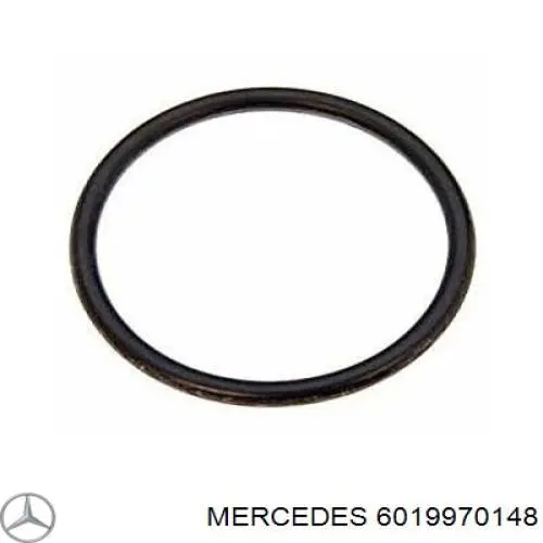 A6019970148 Mercedes Vedante anular de filtro de depuração basta