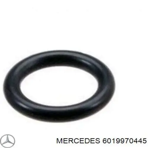 6019970445 Mercedes Vedante anular de tubo de combustível
