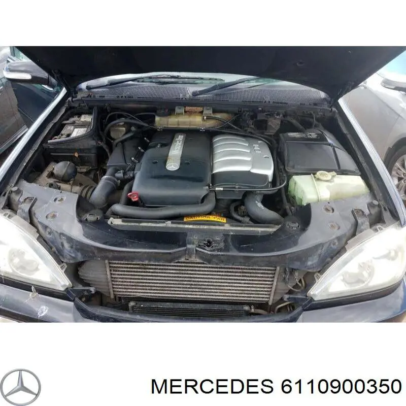 6110900350 Mercedes Bomba de combustível mecânica