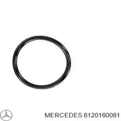 A6120161181 Mercedes Cano derivado de ventilação de cárter (de separador de óleo)