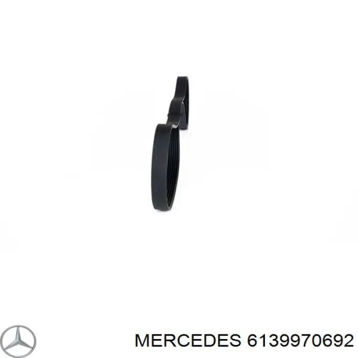 Compre 2XPB1230 Continental/Siemens Correia dos conjuntos de transmissão