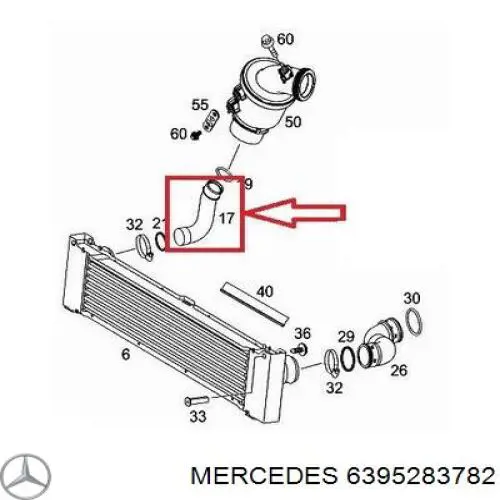 Mangueira (cano derivado) de intercooler Mercedes 6395283782