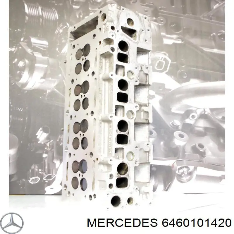 6460101420 Mercedes Cabeça de motor (CBC)