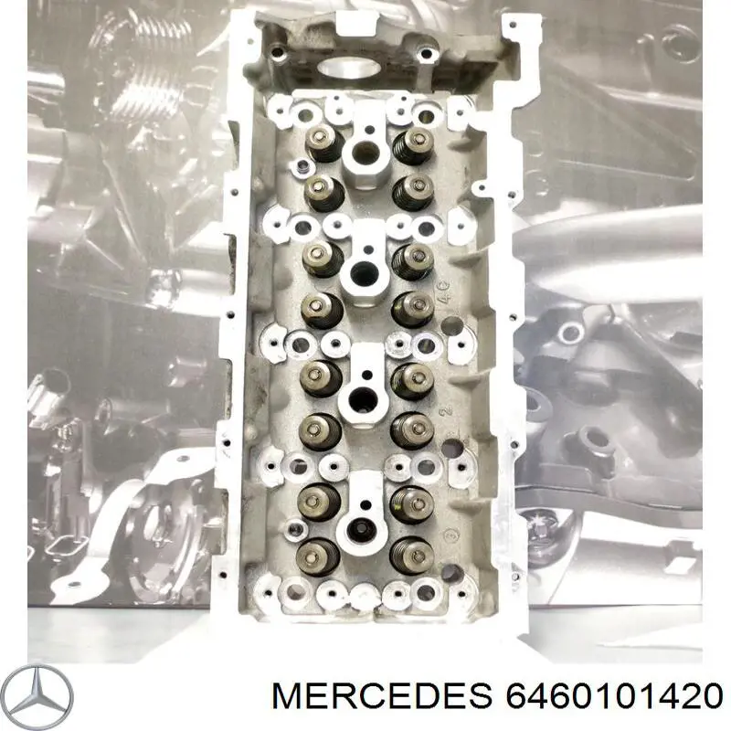 Cabeça de motor (CBC) Mercedes 6460101420 preço, a partir de 556,74 USD
