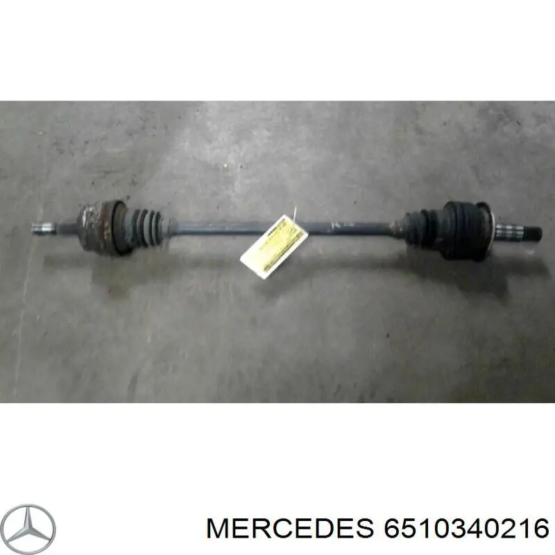6510340216 Mercedes Árvore de equilibração