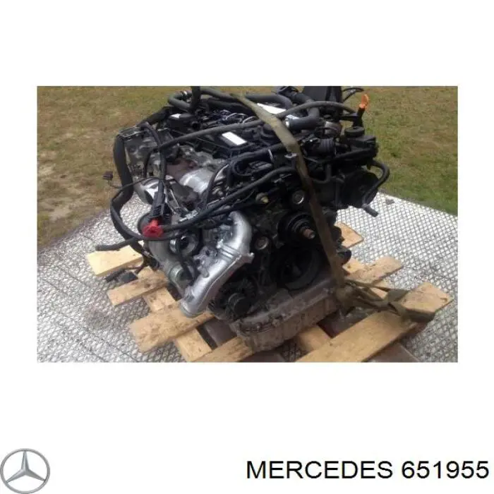  Mercedes 651955