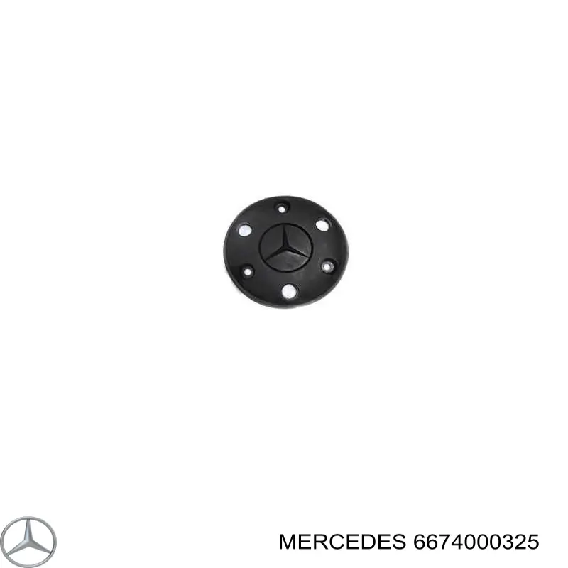 Coberta de disco de roda 6674000325 Turkey