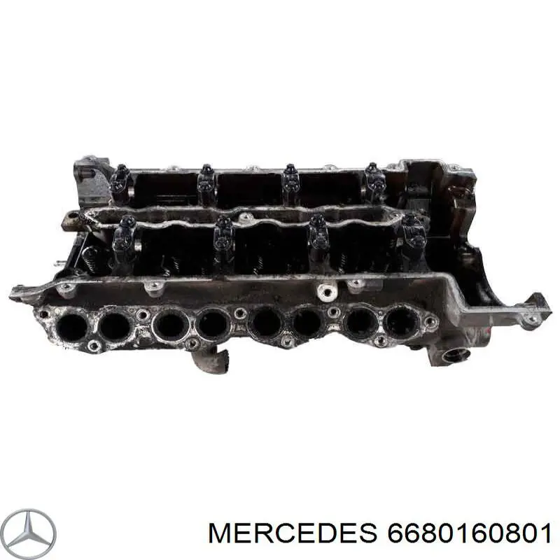 A6680101920 Mercedes Cabeça de motor (CBC)