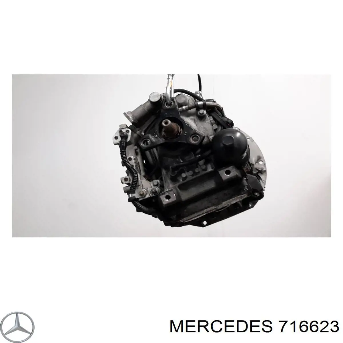 716623 Mercedes 