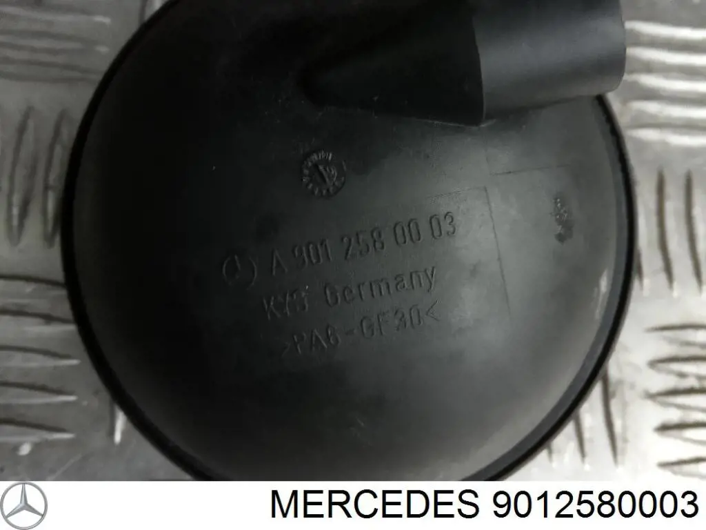 9012580003 Mercedes Tanque de recepção a vácuo de motor