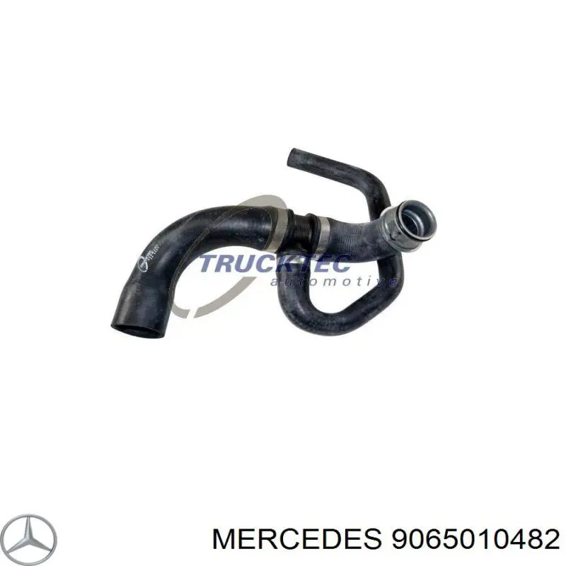 Compre 9065010482 Mercedes Mangueira (cano derivado) inferior do radiador de esfriamento
