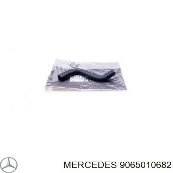 Compre 9065010682 Mercedes Mangueira (cano derivado) do radiador de esfriamento superior