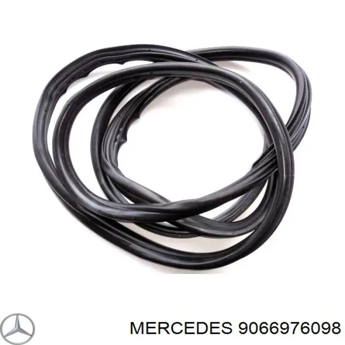 9066976098 Mercedes Compactador da porta dianteira (na carroçaria)