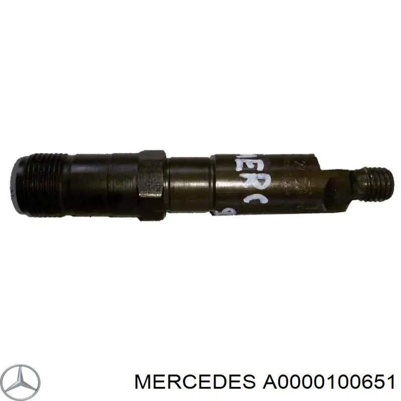 A0000100651 Mercedes Injetor de injeção de combustível