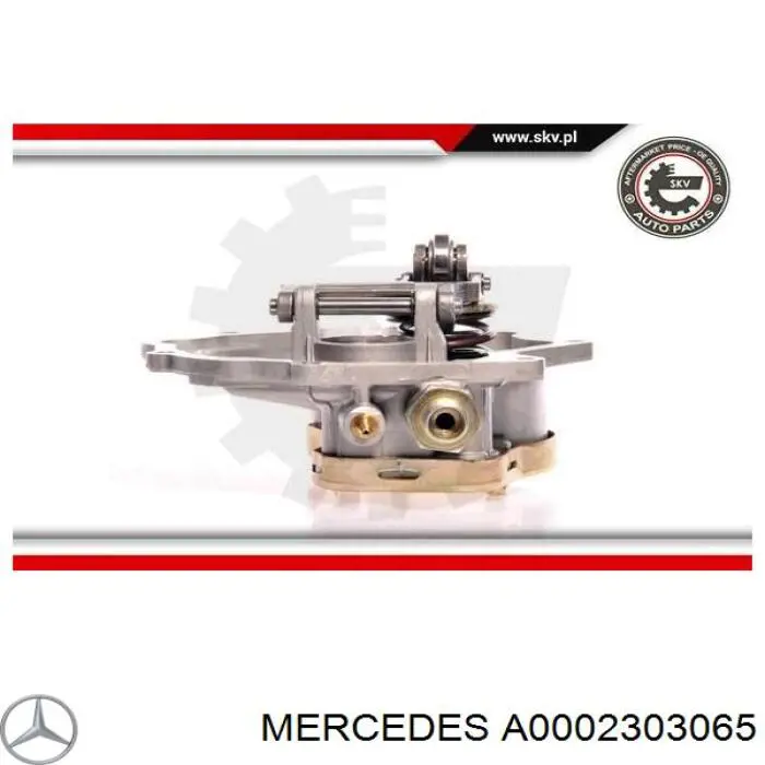Compre A0002303065 Mercedes Bomba a vácuo