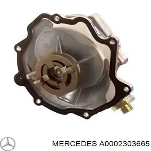 A0002303665 Mercedes Bomba a vácuo