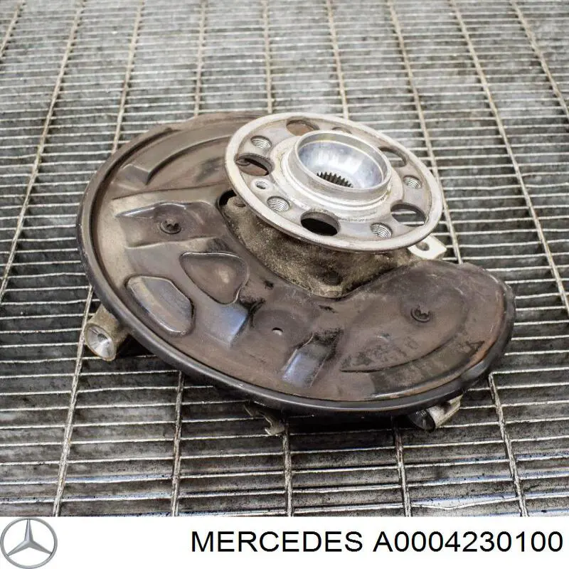 A0004230100 Mercedes Proteção do freio de disco traseiro