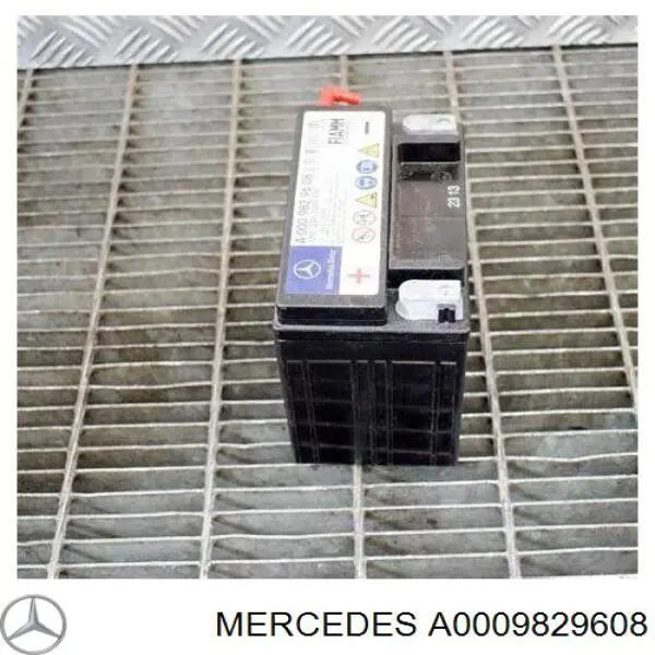 Compre A0009829608 Mercedes Bateria recarregável (PILHA)