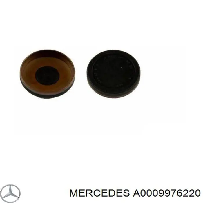 A0009976220 Mercedes Tampão CBC/do bloco de cilindros