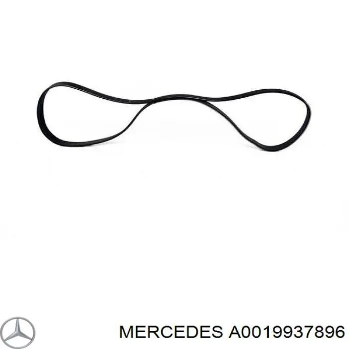 Correia dos conjuntos de transmissão Mercedes A0019937896 preço, a partir de 43,81 USD