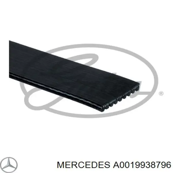 Compre A0019938796 Mercedes Correia dos conjuntos de transmissão