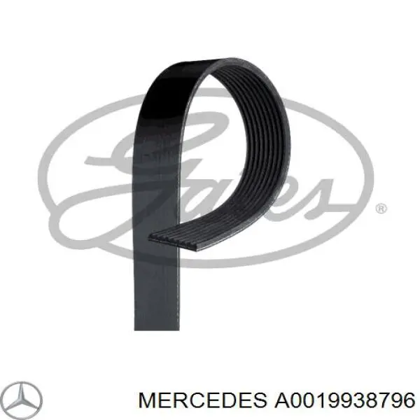 Correia dos conjuntos de transmissão A0019938796 Mercedes