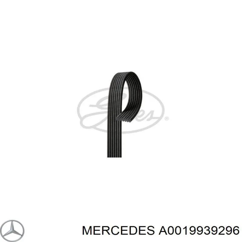 Correia dos conjuntos de transmissão Mercedes A0019939296 preço, a partir de 37,03 USD