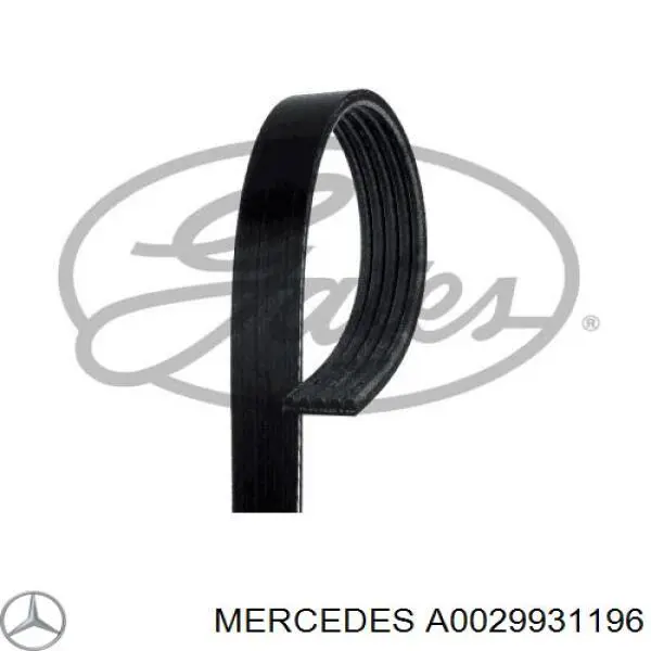 A0029931196 Mercedes Correia dos conjuntos de transmissão